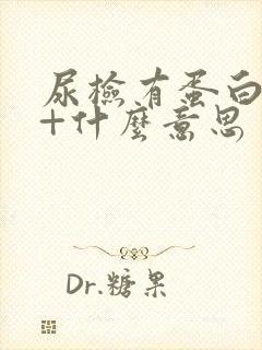 尿检有蛋白质2+什么意思