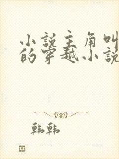 小说主角叫苏辰的穿越小说