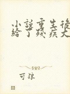 小说重生后我嫁给了残疾大佬