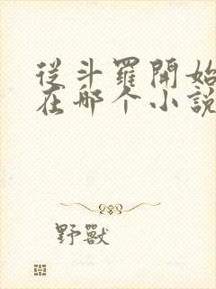 从斗罗开始打卡在哪个小说软件里面看