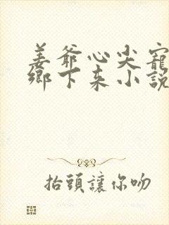 姜爷心尖宠她从乡下来小说免费阅读