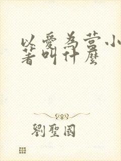 以爱为营小说原著叫什么