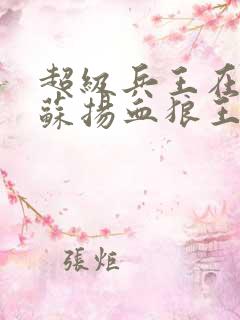 超级兵王在都市苏扬血狼王