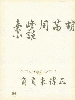 秦峰周茜胡佳云小说