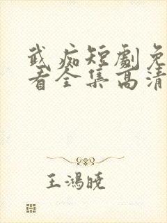 武痴短剧免费观看全集高清