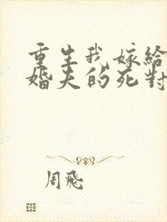 重生我嫁给了未婚夫的死对头