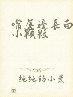 嘴唇边长白色的小颗粒