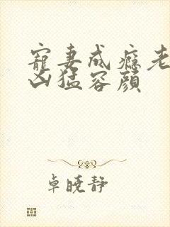 宠妻成瘾老公太凶猛容颜