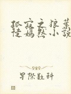 孤寂之狼叶凡司徒嫣然小说