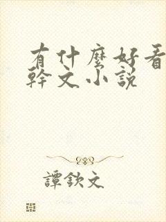 有什么好看的高干文小说