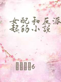 女配和反派在一起的小说