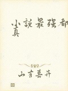 小说最强都市修真