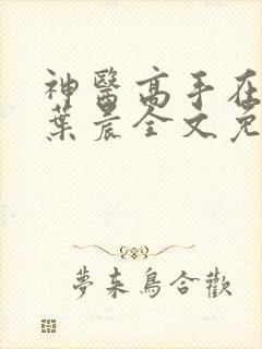 神医高手在都市叶晨全文免费阅读