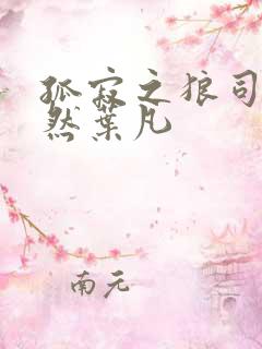 孤寂之狼司空嫣然叶凡