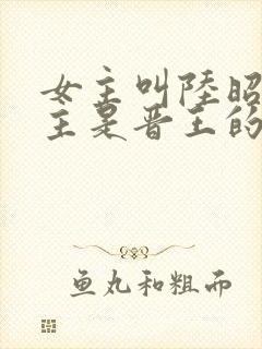 女主叫陆昭菱男主是晋王的小说