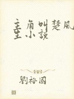 主角叫楚风的重生小说