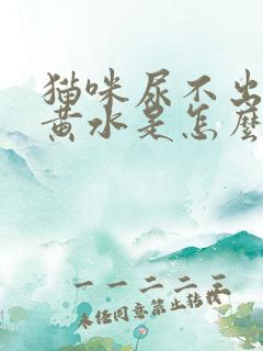 猫咪尿不出来吐黄水是怎么回事