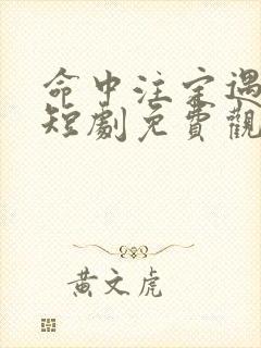 命中注定遇见你短剧免费观看全集高清