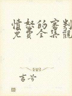 愤怒的审判动漫免费全集观看