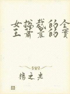 女总裁的全能兵王萧晨的实力