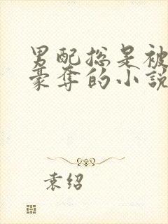 男配总是被巧取豪夺的小说免费阅读