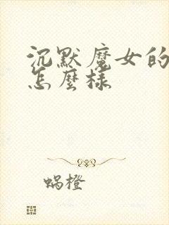 沉默魔女的秘密怎么样