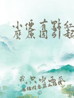 小便有点红色什么原因引起的女