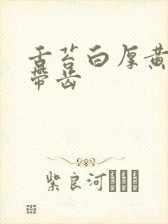 舌苔白厚黄舌尖带齿