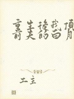 重生后我顶替了前夫的白月光结局