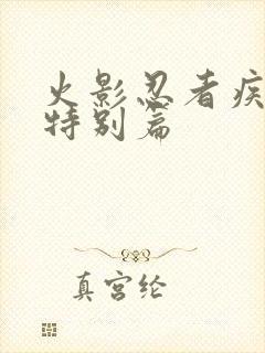 火影忍者疾风传特别篇