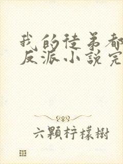 我的徒弟都是大反派小说完本