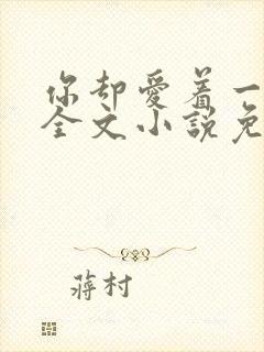 你却爱着一个他全文小说免费阅读未删减