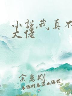 小说,我真不是大佬