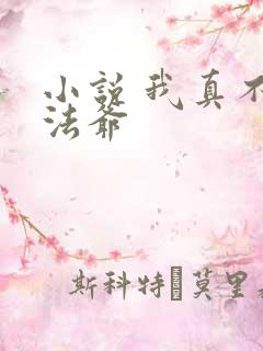 小说 我真不是法爷