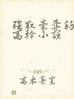 强取豪夺的男主高干小说