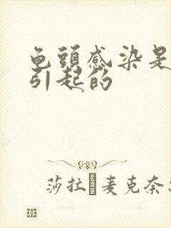 龟头感染是怎么引起的