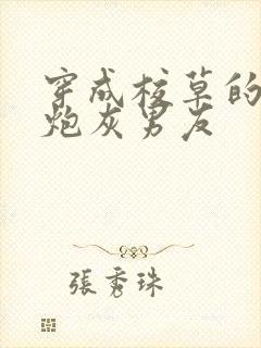 穿成校草的纯1炮灰男友