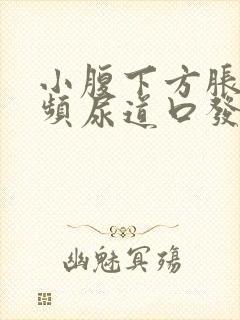 小腹下方胀痛尿频尿道口发热