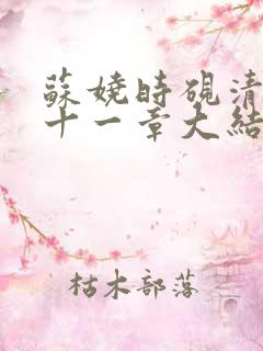 苏娆时砚清第二十一章大结局免费阅