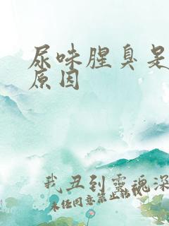 尿味腥臭是什么原因