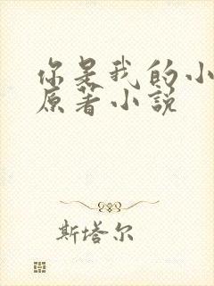 你是我的小确幸原著小说