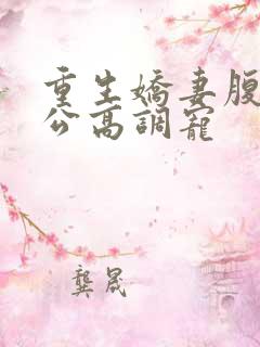 重生娇妻腹黑老公高调宠