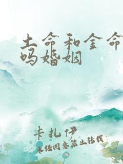 土命和金命相配吗婚姻