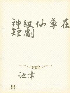 神级仙尊在都市短剧