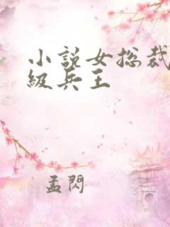 小说女总裁的超级兵王