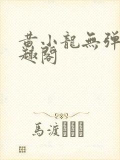 黄小龙无弹窗笔趣阁