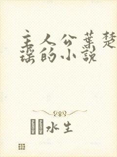 主人公叶楚姜君瑶的小说