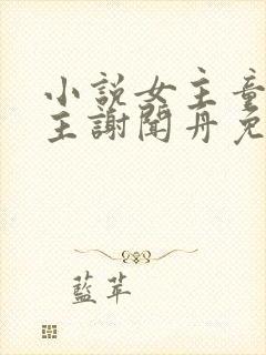 小说女主童昭男主谢闻舟免费阅读