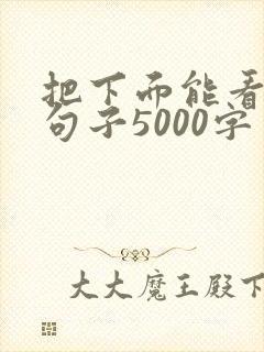 把下面能看湿的句子5000字