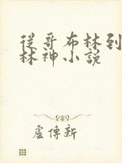 从哥布林到哥不林神小说